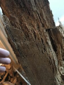Wet Rot Treatment for your home