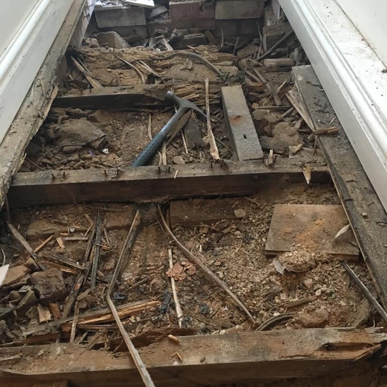 Dry Rot Treatment for your home