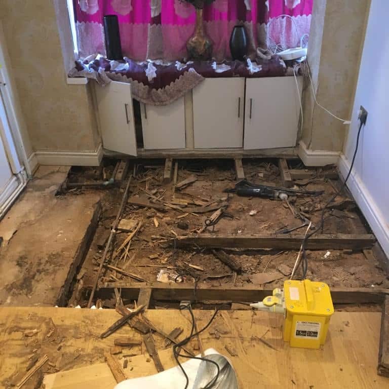 Dry rot treatment and wet rot treatment