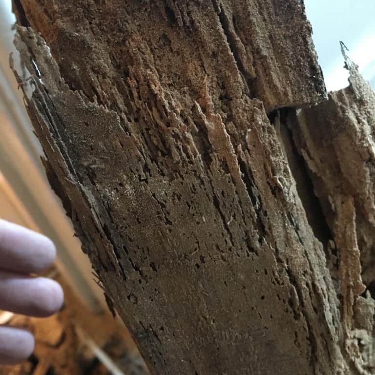 Wet Rot Treatment for your home Wet Rot Treatment for your home