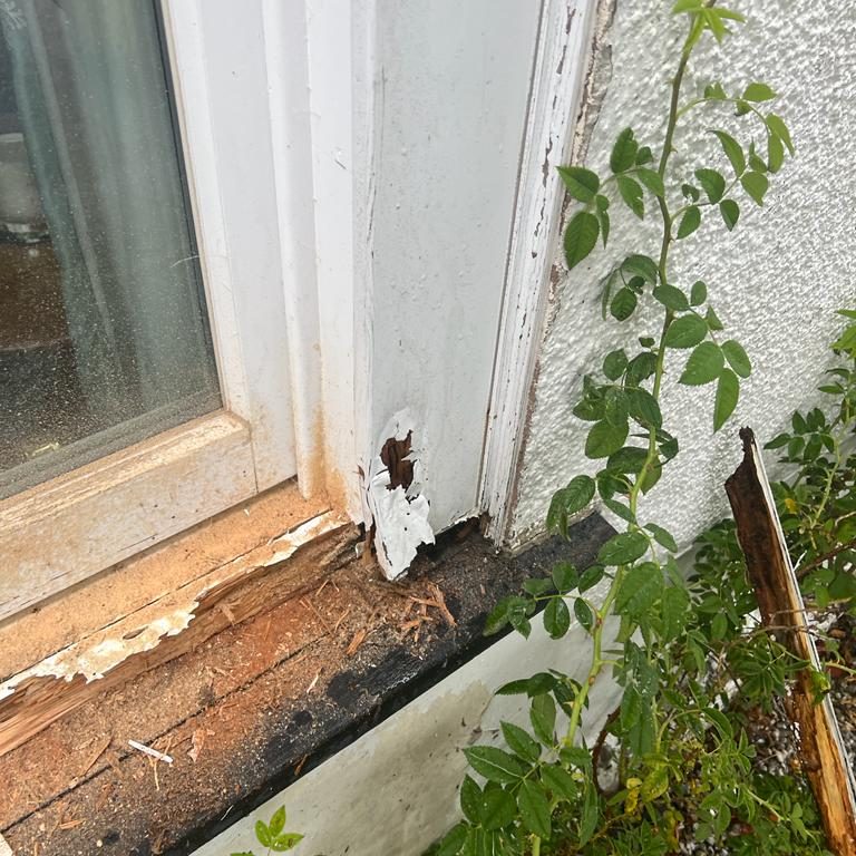 Wet Rot Treatment on homes windo ledge