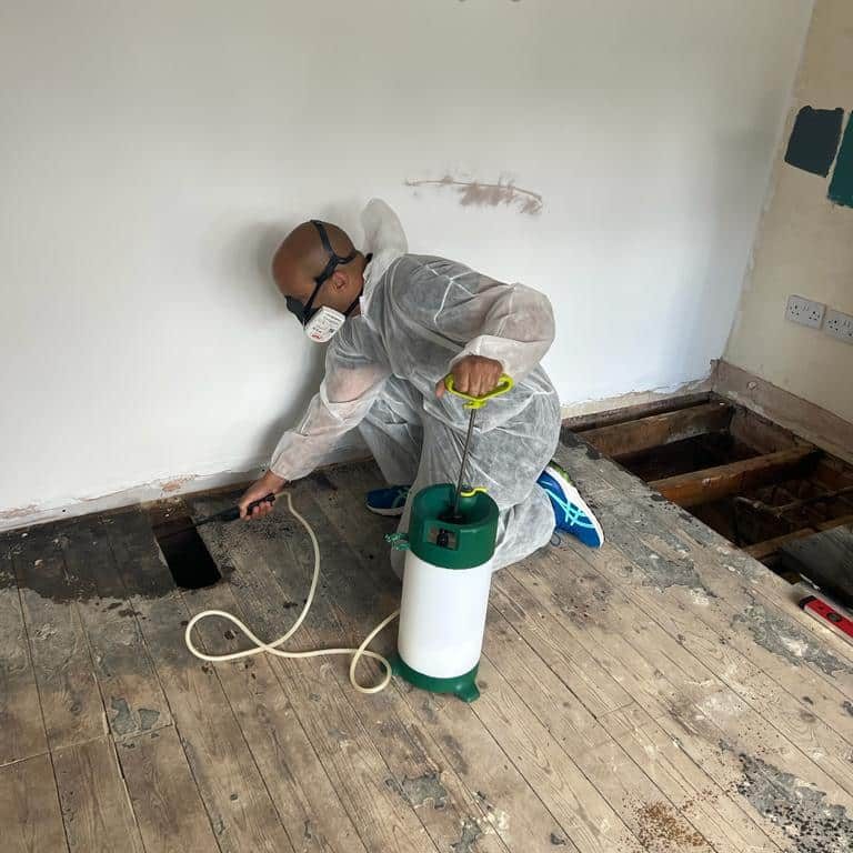 Wood worm Treatment expert staff in the west midlands