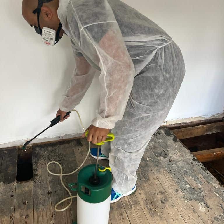 Wood worm Treatment experts in the west midlands Wood worm Treatment experts in the west midlands