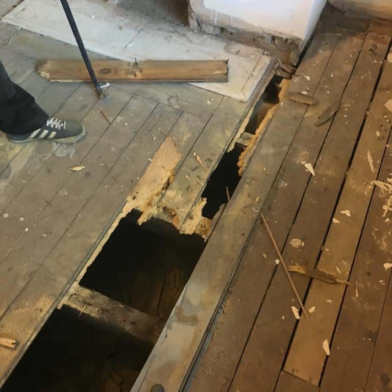 Woodworm Damage to floorboards before treatment Woodworm Damage to floorboards before treatment
