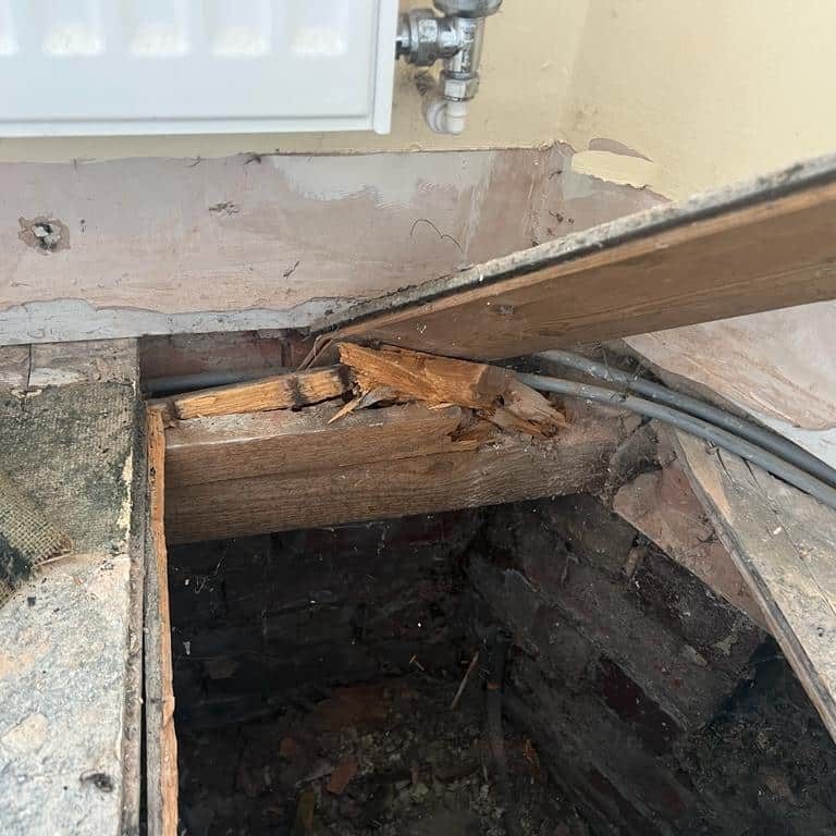 west midlands Wood worm Treatment services west midlands Wood worm Treatment services